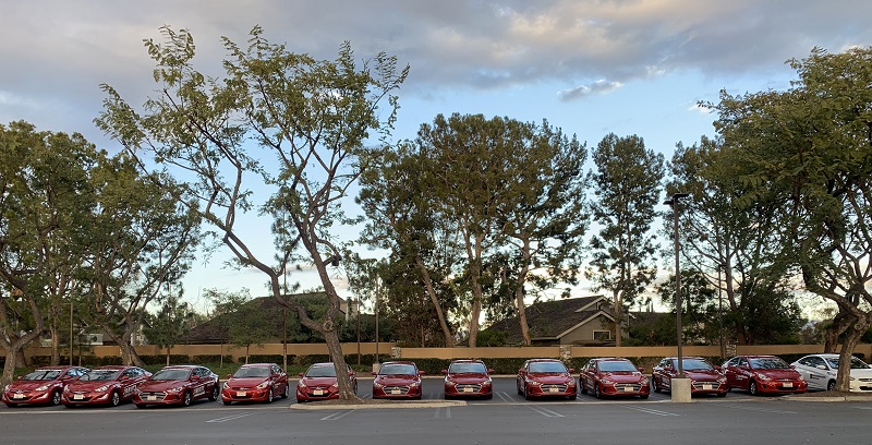 Costa Mesa Driving School Row of Training Vehicles in a Parking Lot