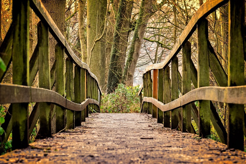 Spring Things to Do for Teens in Orange County A Close Up of a Bridge on a Hiking Trail