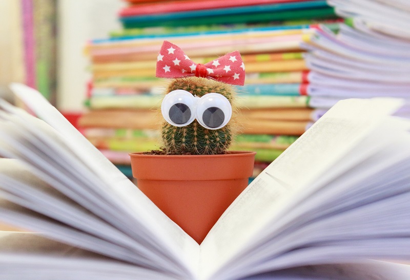Irvine DMV Drivers Ed Test Prep Tips a Tine Plant with Googly Eyes In Front of an Open Book